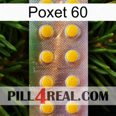 Poxet 60 new11